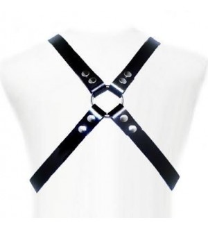 LEATHER BODY BASIC HARNESS