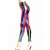 QUEEN LINGERIE LEGGING RAINBOW