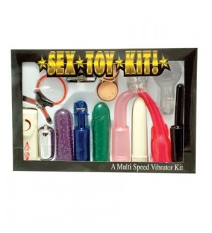 THE SEXTOY KIT MULTI SPEED VIBRATOR